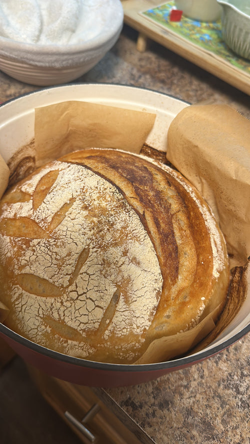 Sourdough Bread