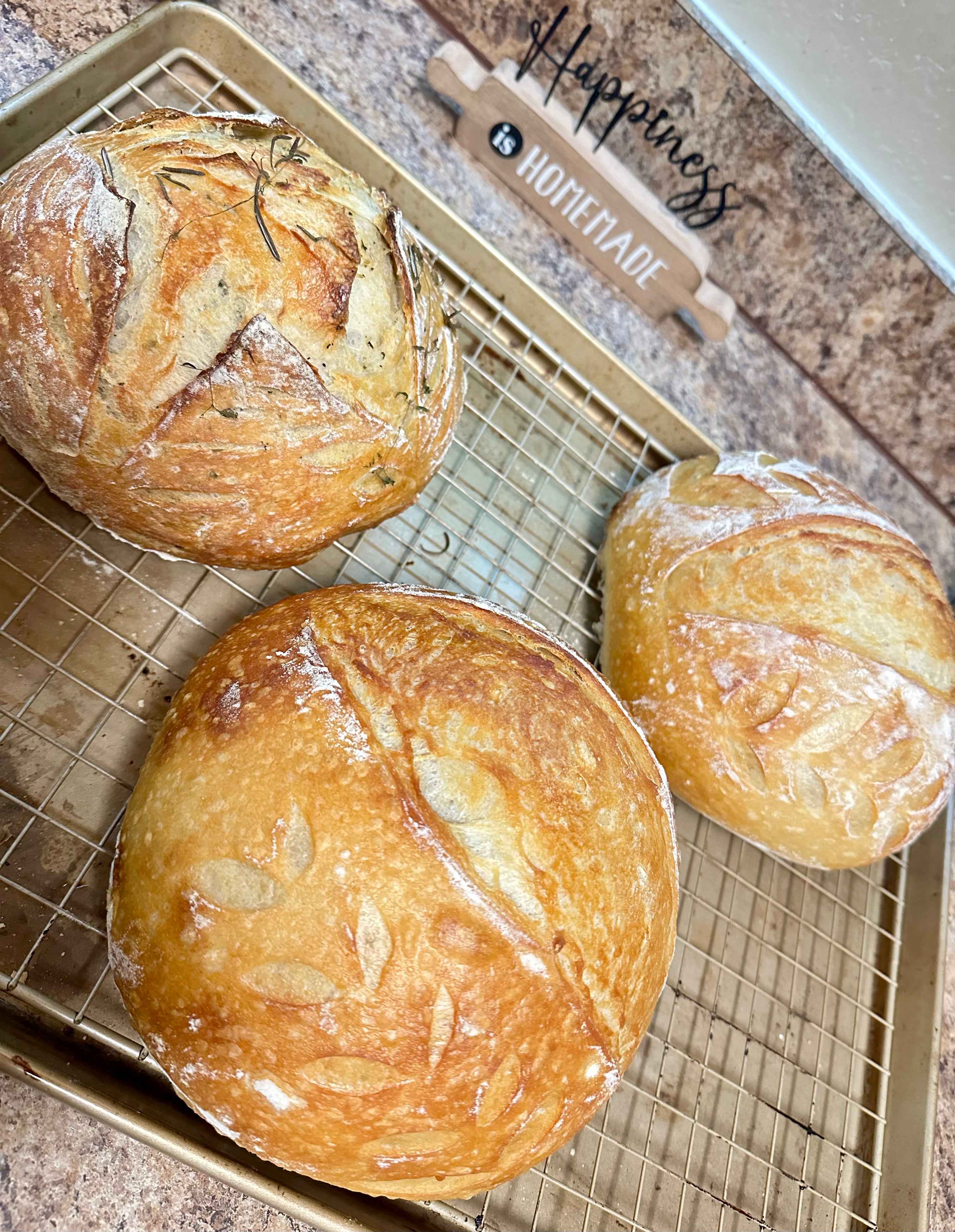 Raisin Cinnamon Brow sugar Sourdough Bread